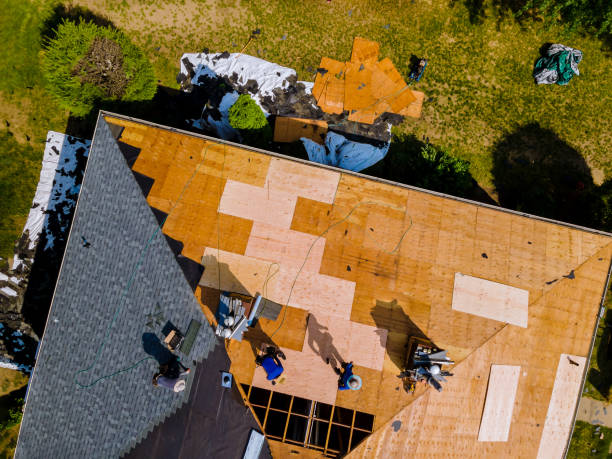 Quick and Trustworthy Emergency Roof Repair Services in Clio, AL